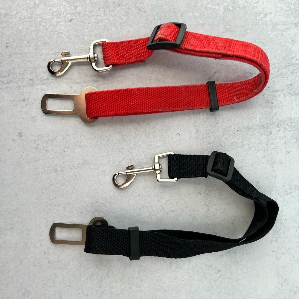 Dog Seatbelts!